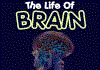 The Life Of Brain : Jeux reflexion