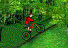Mountain Bike : Jeux trial