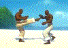 Capoeira : Jeux combat