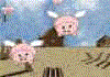 Pigs : Jeux tir