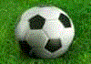 Champion Soccer 2006 : Jeux football