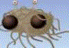 Flying Spaghetti Monster : Jeux action
