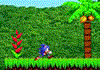 Sonic In Angel Island : Jeux plateforme