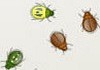 Bug Two Three : Jeux memoire