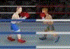 Side Ring Knockout : Jeux boxe