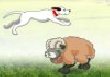 Sheep Jumper : Jeux adresse
