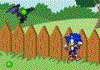 Sonic In Garden : Jeux adresse